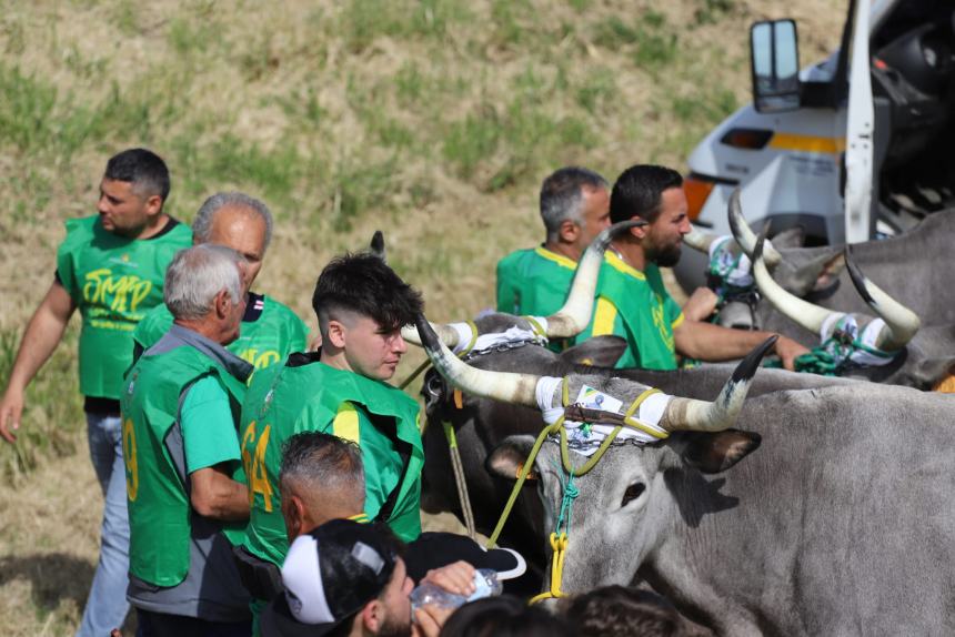 L'album della Carrese 2024 di San Martino in Pensilis