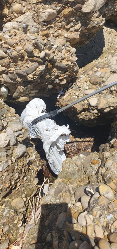 Bottiglione da 5 litri, sacchi colmi di cicche e rifiuti vari raccolti alla Bagnante da Plastic Free 