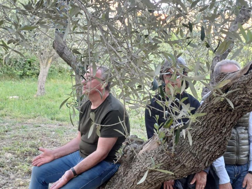 Merenda all'oliveta, il benessere nella natura