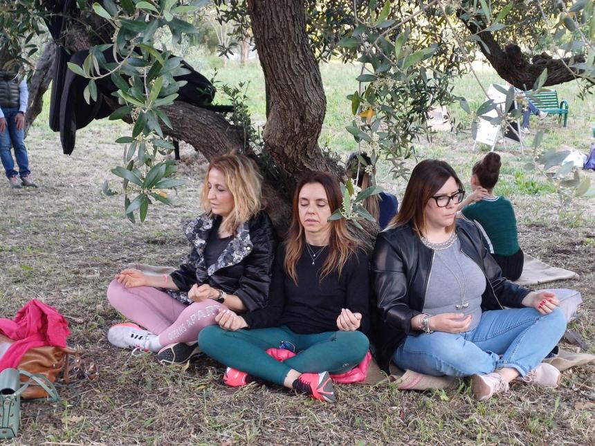 Merenda all'oliveta, il benessere nella natura