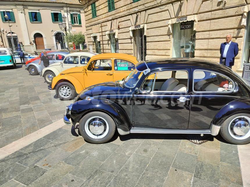 "Bugs on the sea", dalla Porsche alla Dune buggy: icone Volkswagen in piazza Rossetti 