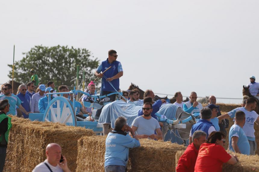 L'album della Carrese 2024 di San Martino in Pensilis