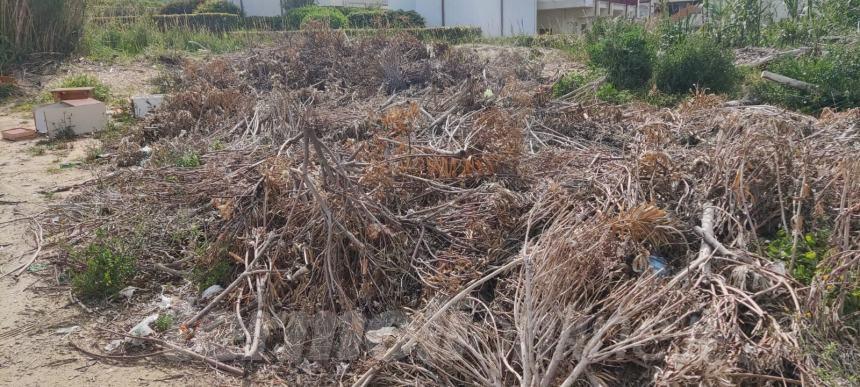 Discarica di ingombranti a "La Fregata", come si sfregia un accesso al mare