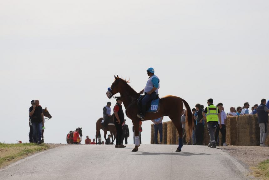 L'album della Carrese 2024 di San Martino in Pensilis