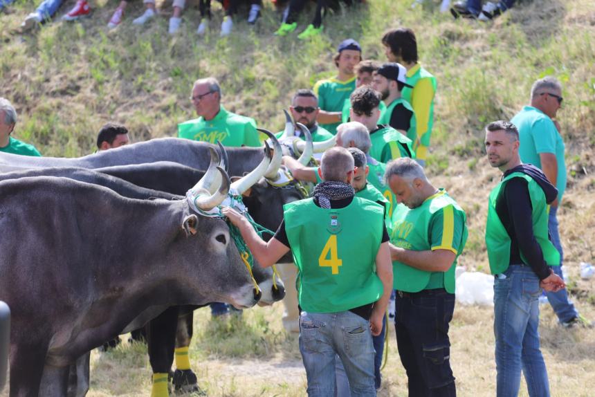 L'album della Carrese 2024 di San Martino in Pensilis