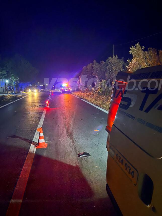 Cinghiale sbuca all'improvviso e viene travolto da una Dacia a Pagliarelli sulla Statale 16