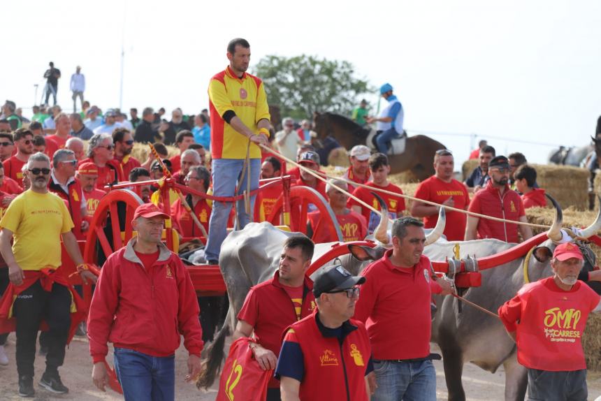 L'album della Carrese 2024 di San Martino in Pensilis