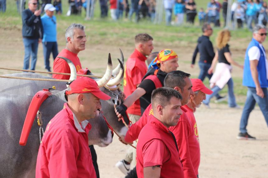 L'album della Carrese 2024 di San Martino in Pensilis