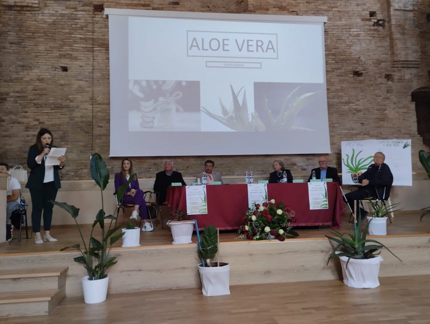 “Aloe vera: pianta ornamentale e curativa”, i benefici spiegati dai ragazzi di Pollutri 