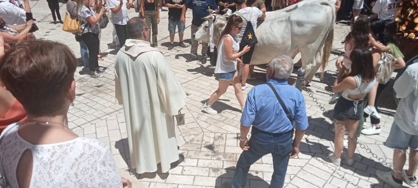 I carri di Sant'Antonio a Montecilfone