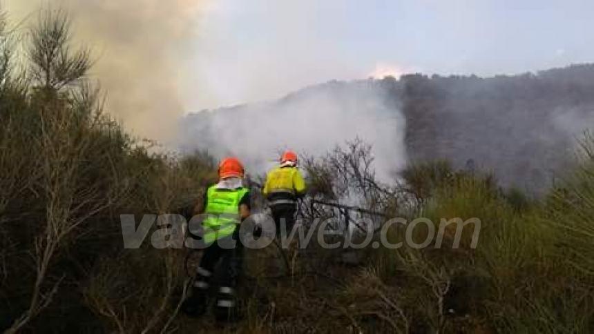 Incendio a Celenza, domato dalla Protezione civile: “Era a ridosso del bosco di Caccavone”