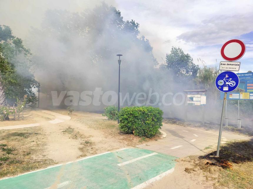 Fiamme lungo la pista ciclabile a Vasto Marina nei pressi dell'area Sic