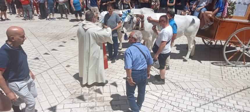 I carri di Sant'Antonio a Montecilfone