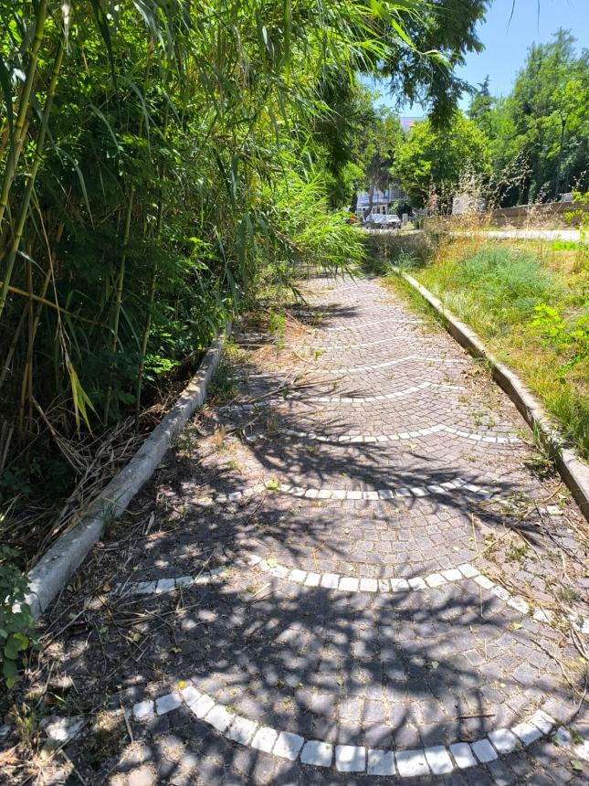 Il passaggio "incolto" a Rio Vivo