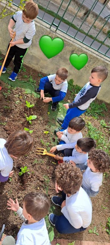 Fine anno scolastico a Vasto, la dirigente Delle Donne: “Tante attività connesse al territorio”