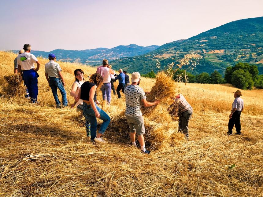 Giornata della mietitura