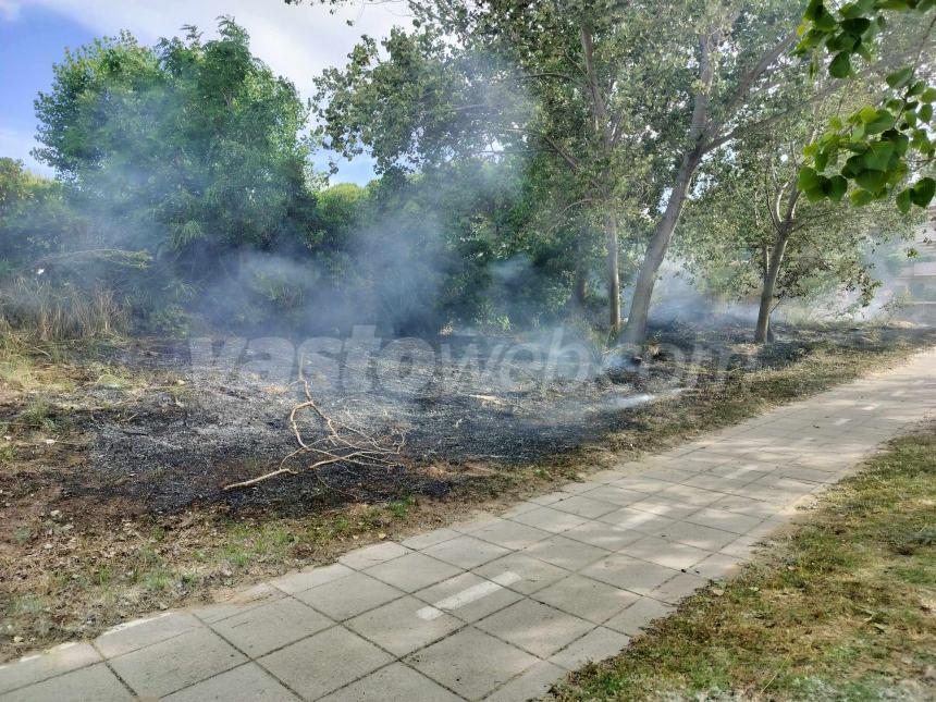 Fiamme lungo la pista ciclabile a Vasto Marina nei pressi dell'area Sic