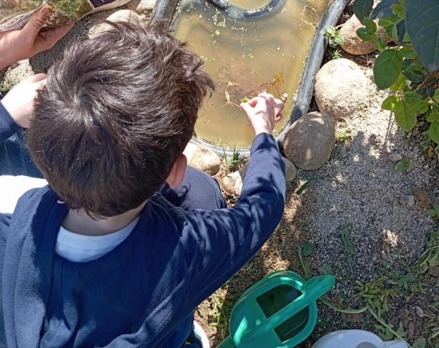 Fine anno scolastico a Vasto, la dirigente Delle Donne: “Tante attività connesse al territorio”