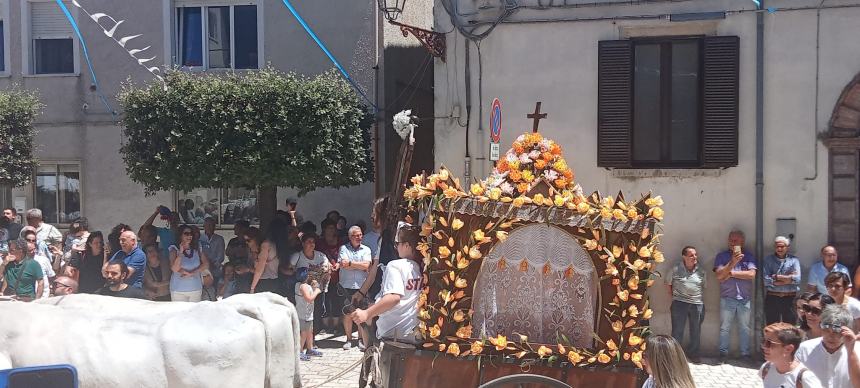 I carri di Sant'Antonio a Montecilfone