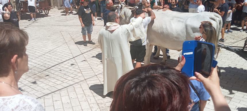 I carri di Sant'Antonio a Montecilfone