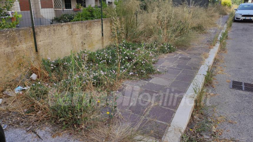 Da via dei Castagni... a via dei rovi: lo sfalcio del verde urbano è un miraggio