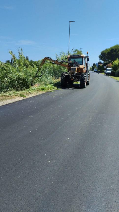 Al via gli interventi di falcio dell’erba da 787mila euro lungo oltre 1300 km di strade provinciali 