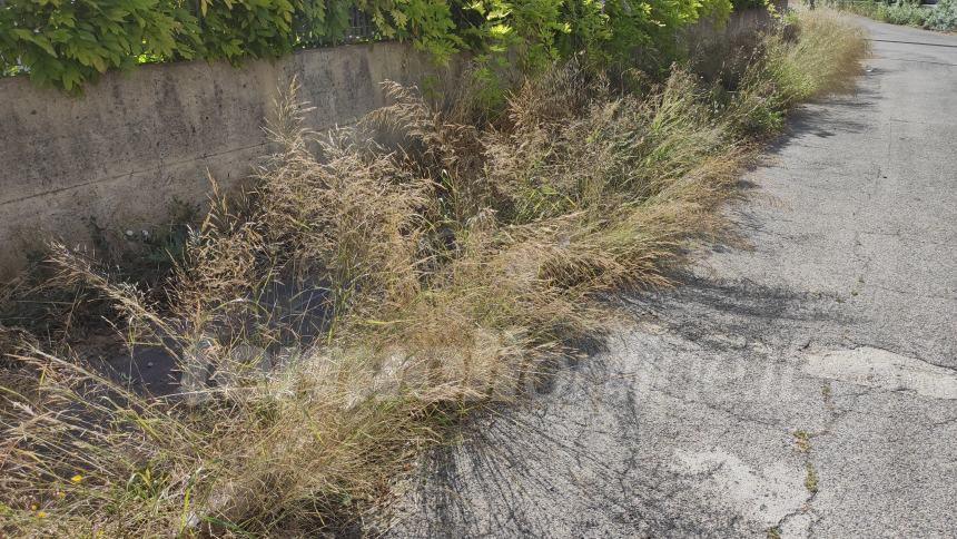 Da via dei Castagni... a via dei rovi: lo sfalcio del verde urbano è un miraggio