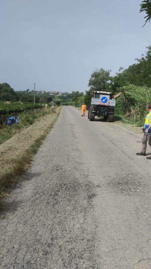 Al via gli interventi di falcio dell’erba da 787mila euro lungo oltre 1300 km di strade provinciali 