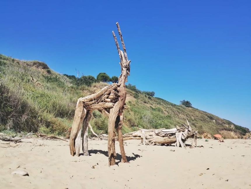 Sulla spiaggia di Punta Penna tornano gli "artisti dei dinosauri"