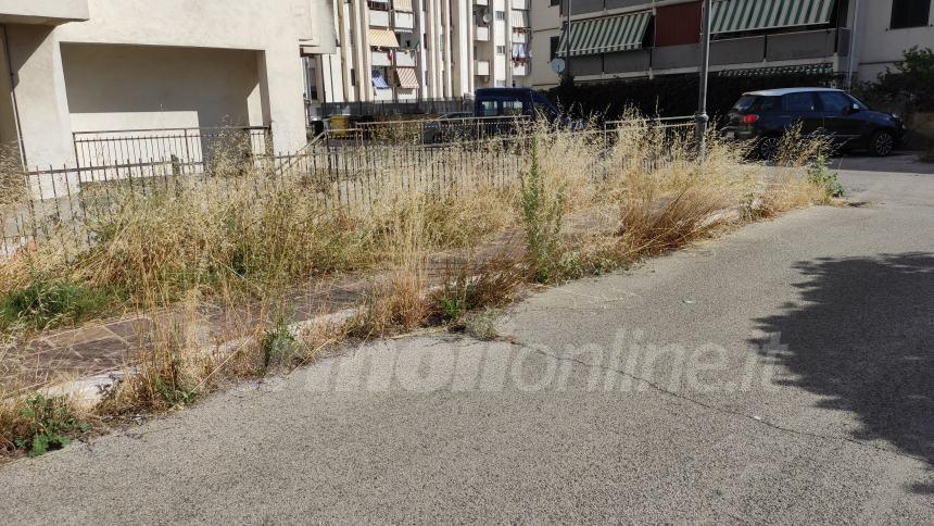 Da via dei Castagni... a via dei rovi: lo sfalcio del verde urbano è un miraggio