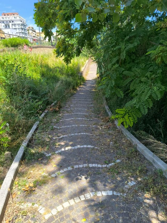 Il passaggio "incolto" a Rio Vivo