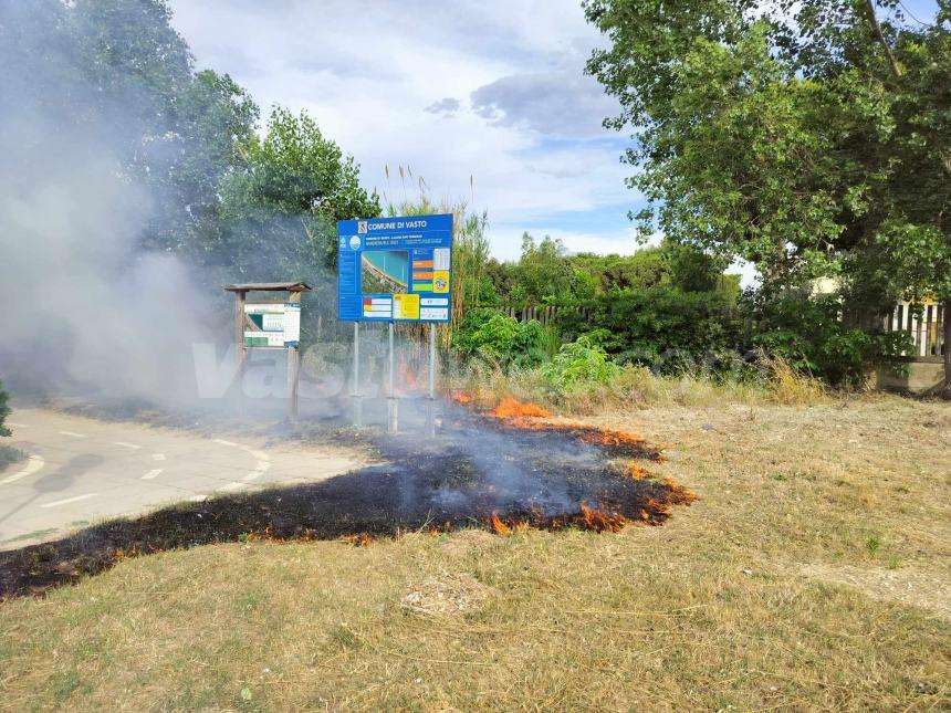 Fiamme lungo la pista ciclabile a Vasto Marina nei pressi dell'area Sic