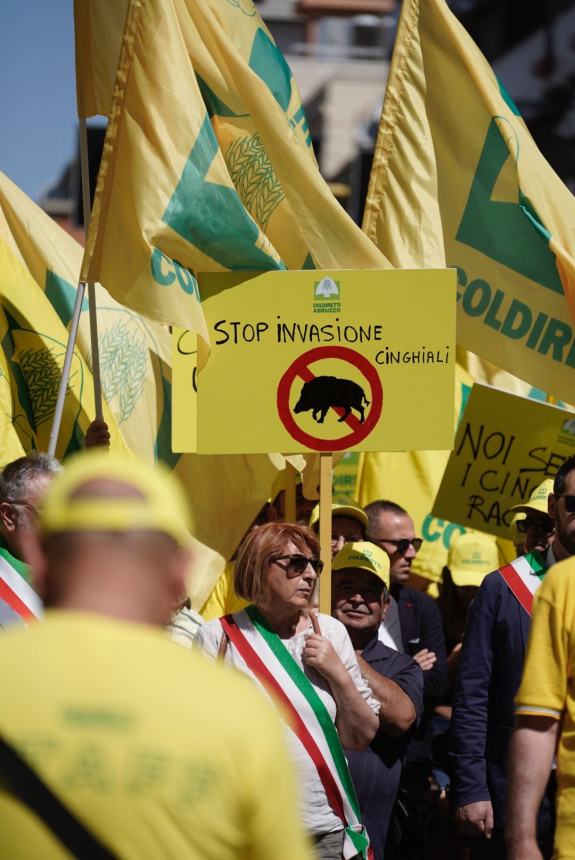 Danni all’agricoltura, in migliaia a Pescara per “dire no” all’invasione dei cinghiali 