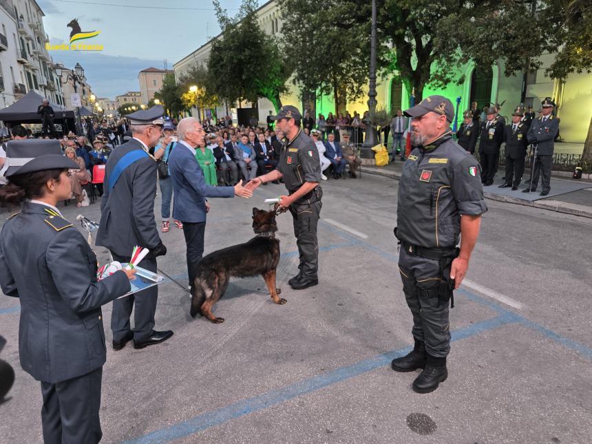 Tutti i numeri dell'attività operativa della Guardia di Finanza in Molise