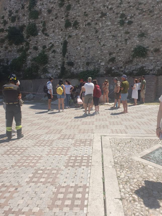 Gattino sul Castello Svevo, salvato ancora dai Vigili del Fuoco