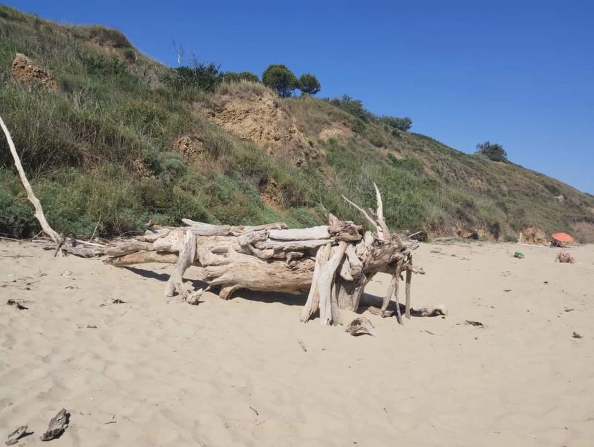 Sulla spiaggia di Punta Penna tornano gli "artisti dei dinosauri"