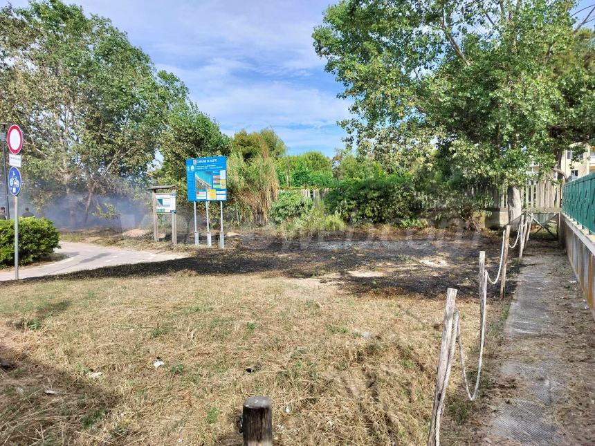 Fiamme lungo la pista ciclabile a Vasto Marina nei pressi dell'area Sic