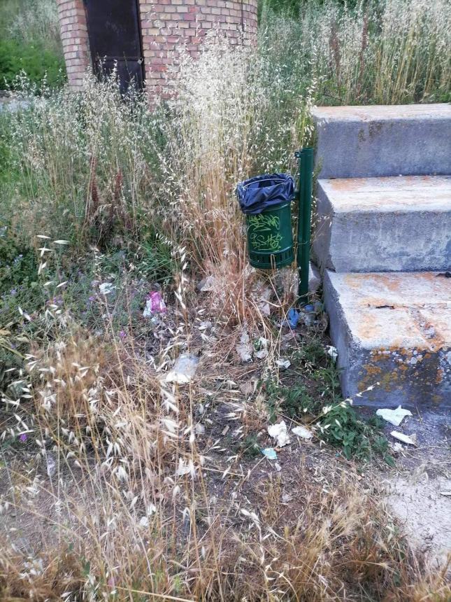 Degrado al Parco Muro delle Lame: "Gestione decaduta, a giorni nuovo bando per l'assegnazione" 