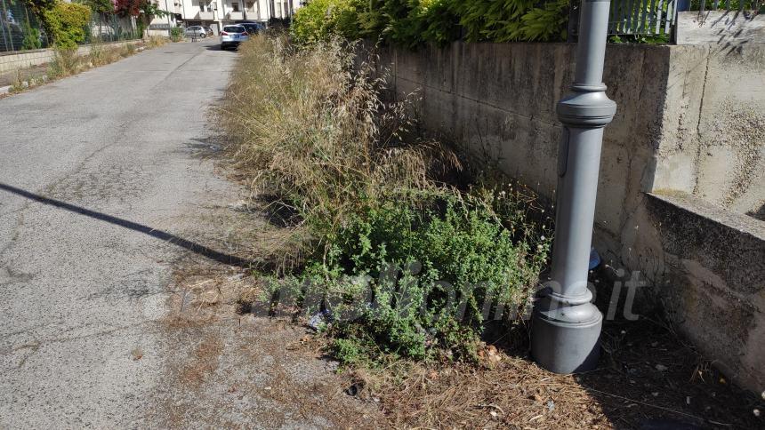 Da via dei Castagni... a via dei rovi: lo sfalcio del verde urbano è un miraggio