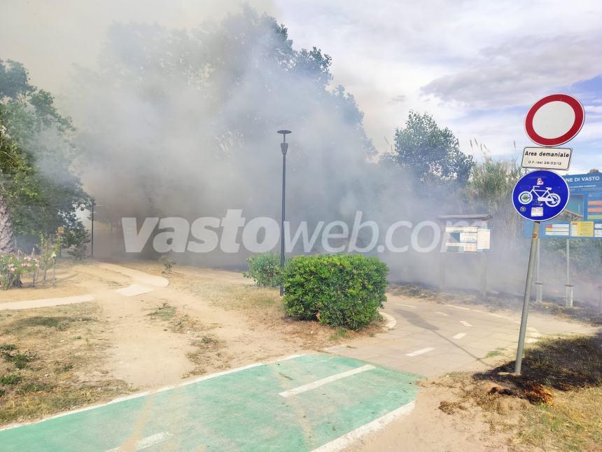 Fiamme lungo la pista ciclabile a Vasto Marina nei pressi dell'area Sic