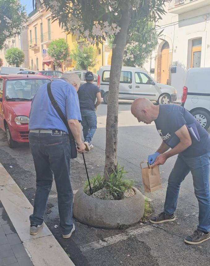 Lilt e Plastic Free insieme per la salvaguardia dell'ambiente e della salute