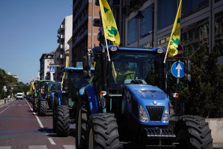 Danni all’agricoltura, in migliaia a Pescara per “dire no” all’invasione dei cinghiali 