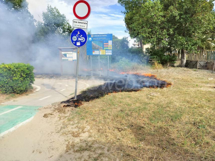 Fiamme lungo la pista ciclabile a Vasto Marina nei pressi dell'area Sic