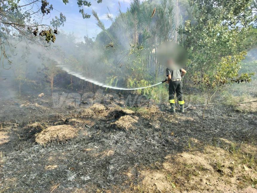 Fiamme lungo la pista ciclabile a Vasto Marina nei pressi dell'area Sic