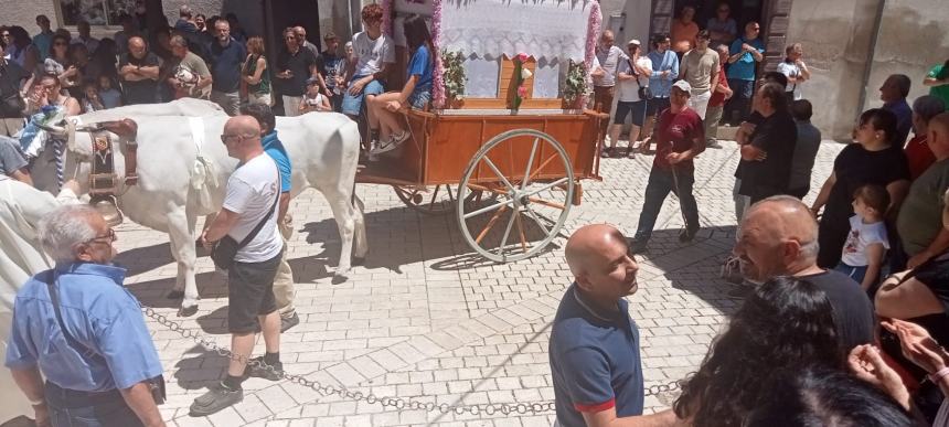 I carri di Sant'Antonio a Montecilfone