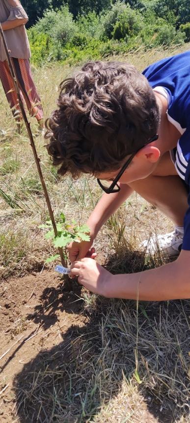 «Anche perché questa Terra è l'unica che abbiamo»