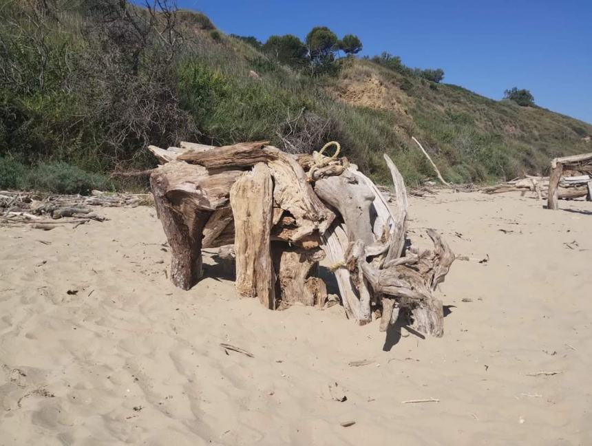 Sulla spiaggia di Punta Penna tornano gli "artisti dei dinosauri"