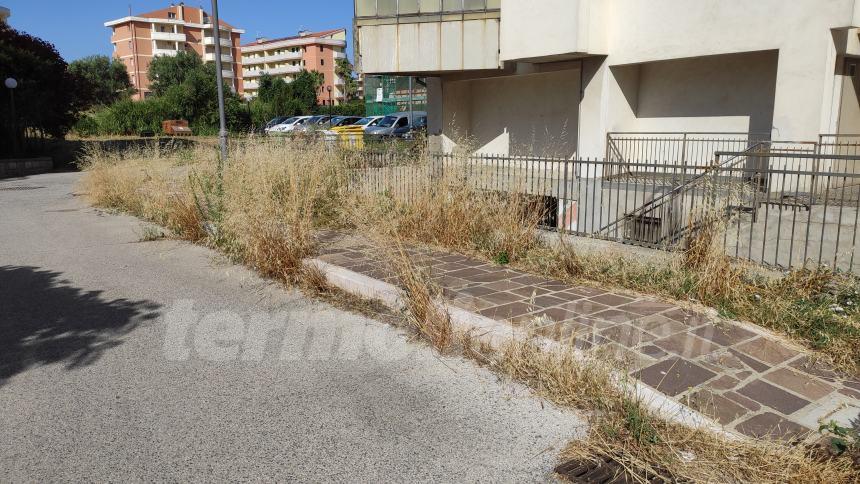 Da via dei Castagni... a via dei rovi: lo sfalcio del verde urbano è un miraggio