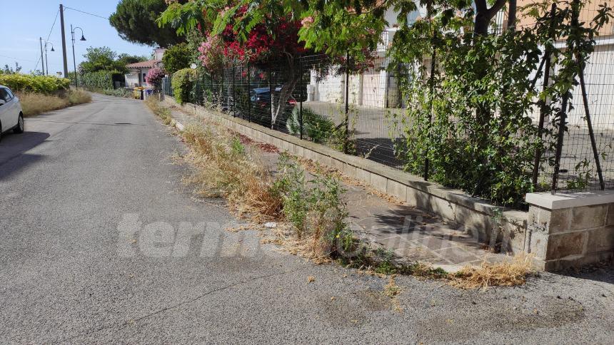 Da via dei Castagni... a via dei rovi: lo sfalcio del verde urbano è un miraggio