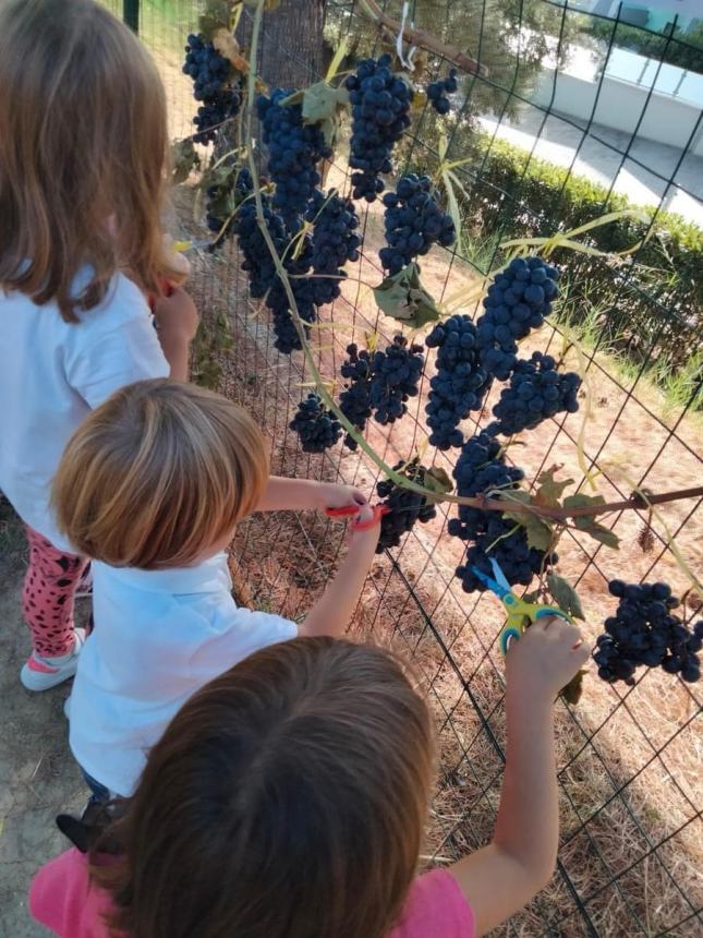 Fine anno scolastico a Vasto, la dirigente Delle Donne: “Tante attività connesse al territorio”